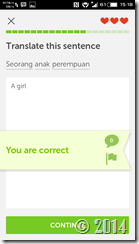 Duolingo (4)