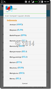 Indonesia Flight (1)