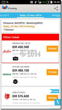 Indonesia Flight (4)