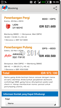 Indonesia Flight (5)